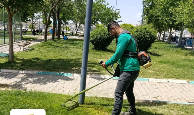 Haliliye'de Park ve Yeşil Alanlarda Estetik Dokunuşlar