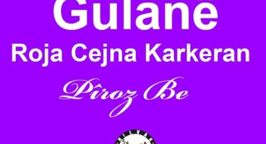 Hilvan'da 1 Mayıs Coşkusu: Eşbaşkanlardan Emekçilere Kutlama Mesajı