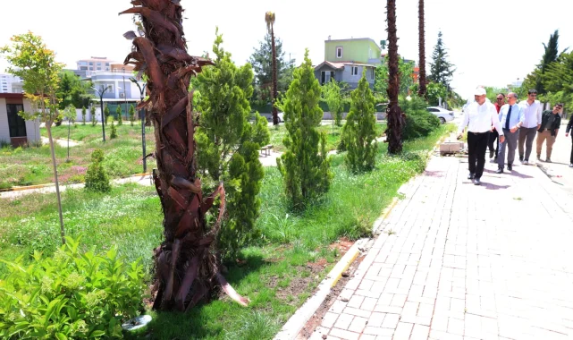 Karaköprü'de Yeşil Alanlar Genişliyor: Batıkent Mahallesi'nde Palmiye Ağaçları Dikildi