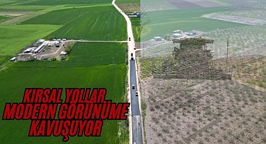 Şanlıurfa’da 14 Kilometrelik Grup Yolunda Asfalt Seferberliği Sürüyor
