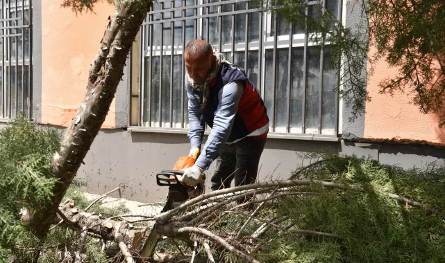 Siverek Belediyesi Ekipleri Viranşehir'de Fırtına Sonrası Sahada