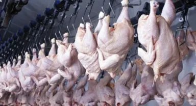 Beyaz et operasyonunda kayyım kararları kaldırıldı