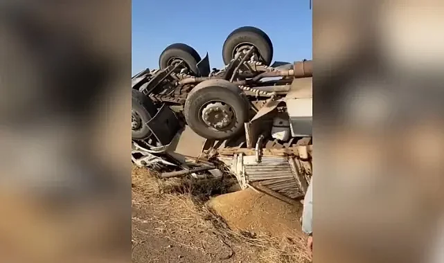 Eyyübiye’de buğday yüklü kamyon şarampole devrildi