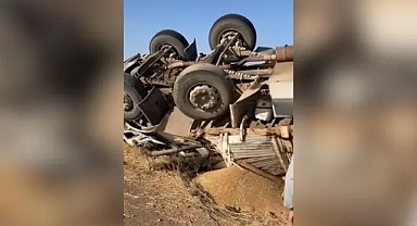 Eyyübiye’de buğday yüklü kamyon şarampole devrildi