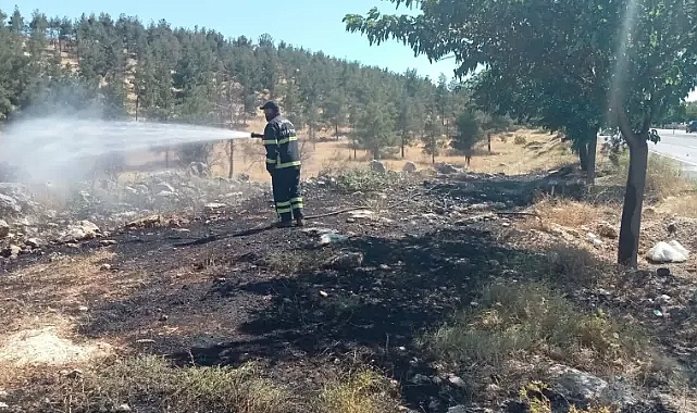 Eyyübiye’deki ormanlık alanda yangın! İtfaiye ekipleri müdahale etti!