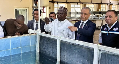 Gana Büyükelçisi Şanlıurfa'da su ürünleri tesislerini inceledi