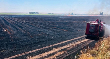 Harran Aydınlar Mahallesi'nde korkutan anız yangını: 500 dönüm kül oldu