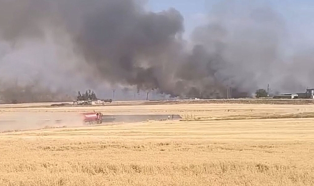 Harran’da korkutan yangın: Üç mahalle arasındaki buğday tarlaları alevlere teslim oldu!