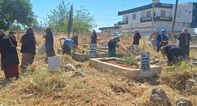 Harran'da mezarlıklar yabani otlardan temizleniyor