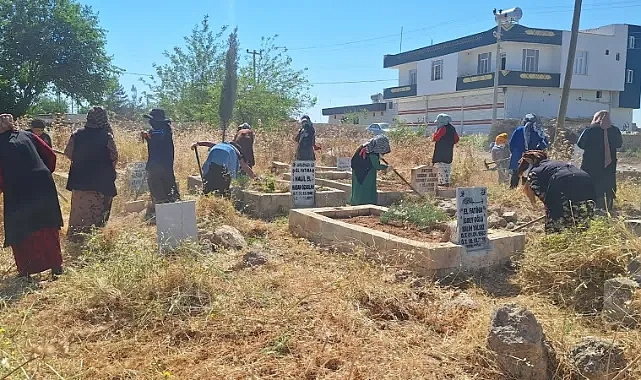Harran'da mezarlıklar yabani otlardan temizleniyor