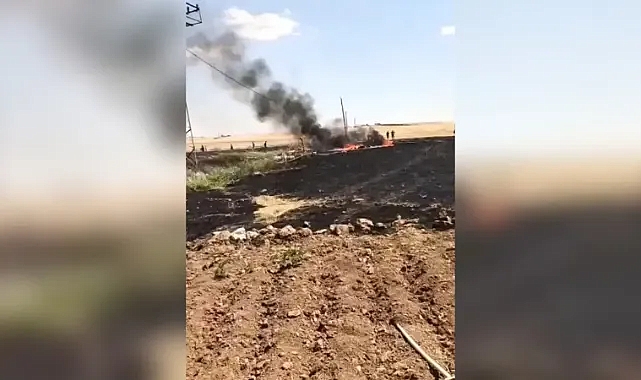 Harran’da yaklaşık 50 dönüm alan zarar gördü