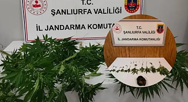 Hilvan ve Halfeti'de uyuşturucu ele geçirildi