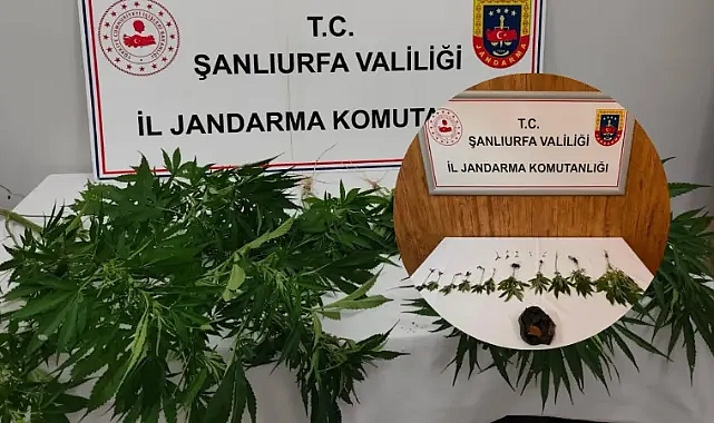 Hilvan ve Halfeti'de uyuşturucu ele geçirildi