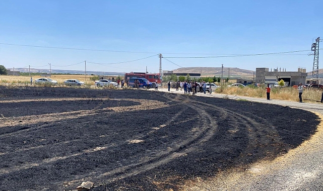 Şanlıurfa'da 300 dönüm alan zarar gördü