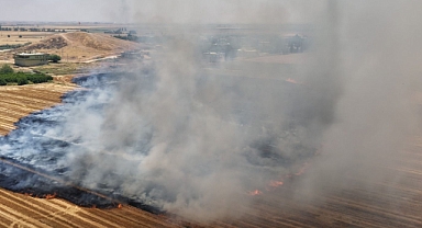 Şanlıurfa’da Anıza Doğrudan Ekim Çalışmaları Genişletildi