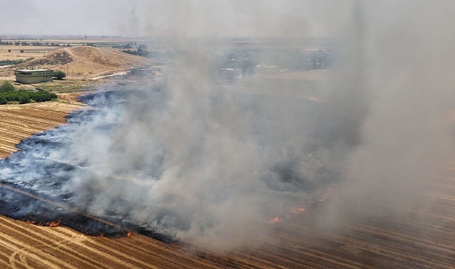 Şanlıurfa’da Anıza Doğrudan Ekim Çalışmaları Genişletildi