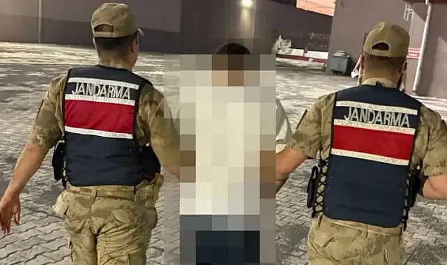 Şanlıurfa'da firari şahıs jandarma kıskacına takıldı!