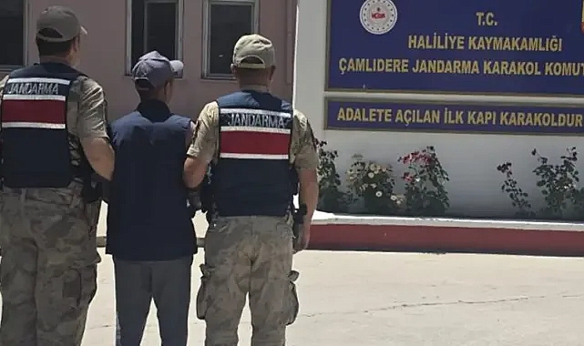 Şanlıurfa'da hapis cezası bulunan hükümlü yakalandı