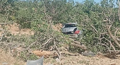Şanlıurfa’da kontrolden çıkan araç fıstık tarlasına girdi!