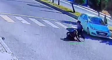 Şanlıurfa’da korkutan kaza: Karşıya geçmek isterken otomobil çarptı!
