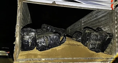 Şanlıurfa'da milyonluk kaçakçılık operasyonu 