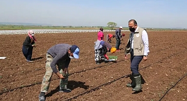 Şanlıurfa’da tarım işçilerinin yevmileri belli oldu! İşte açıklanan miktar!
