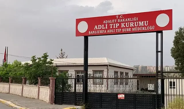 Şanlıurfa’da traktör kazası! Sürücü hayatını kaybetti!