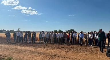 Şanlıurfa’da Yerli Tohumun Gurur Günü: