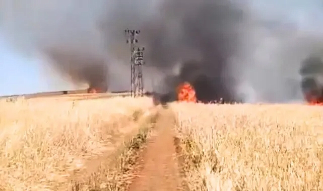 Şanlıurfa Haliliye'deki tarla küle döndü!