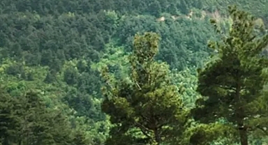 Şanlıurfa Valiliği kararı duyurdu: Giriş ve çıkışlar yasaklandı!