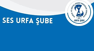 SES Urfa Şubesi'nden Kamu Hastanesindeki Tıbbi Malzemelerle İlgili Açıklama 