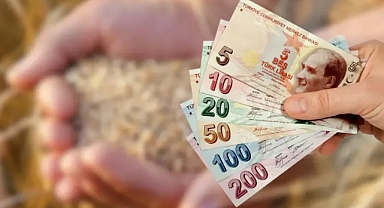 TMO 2026 yılı hububat alım fiyatlarını duyurdu!