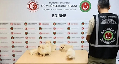 Türkiye’ye girmek isteyen araçta bulundular! Değeri 472 bin lira!