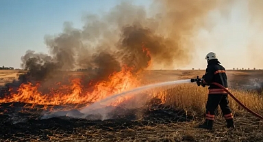 Urfa’da bir günde 227 yangına müdahale edildi!