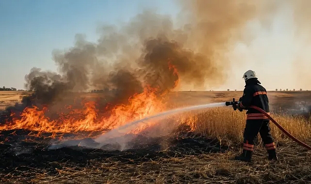 Urfa’da bir günde 227 yangına müdahale edildi!
