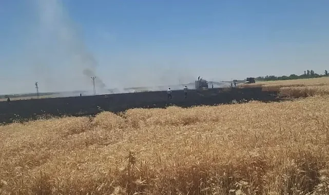 Urfa’da bir yangın daha! 50 dönümlük tarla küle döndü