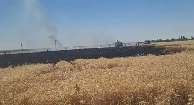 Urfa’da bir yangın daha! 50 dönümlük tarla küle döndü