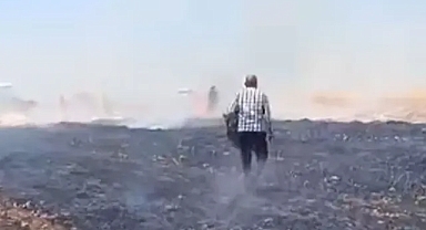 Urfa’da buğday tarlasında yangın! Mahalle sakinleri seferber oldu