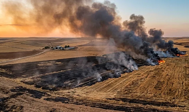 Vali Şıldak'tan kritik uyarı: Cezası var!