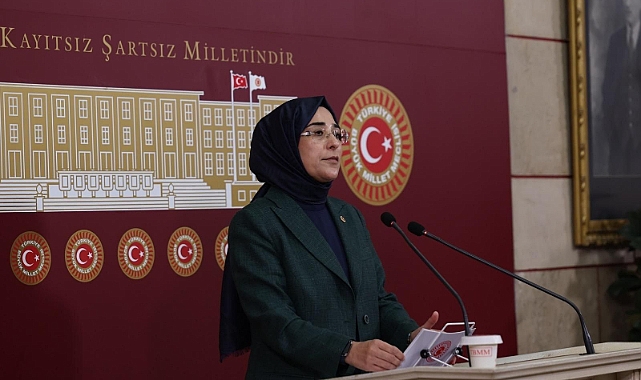 Vekil Yazmacı’dan AP Türkiye Raporuna Tepki
