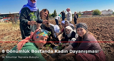 Viranşehir’de Kadınlar Toprağa Umut Ekiyor