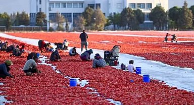 Antalya’nın kurutulmuş domatesi 91 ülkeye ulaştı