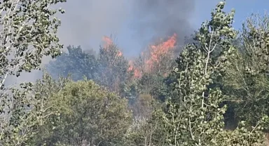 Beypazarı'nda bir günde 10 yangın çıktı: Bir kişi yaralandı