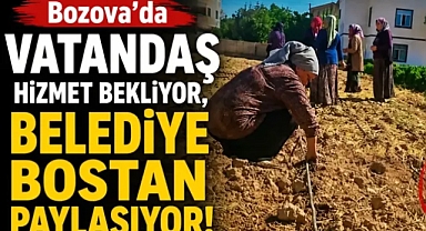 Bozova'da Vatandaş Hizmet Bekliyor, Belediye Bostan Paylaşıyor!