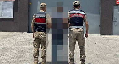 Ceylanpınar'da firari şahıs jandarmadan kaçamadı: 4 yıl hapis cezası bulunuyordu