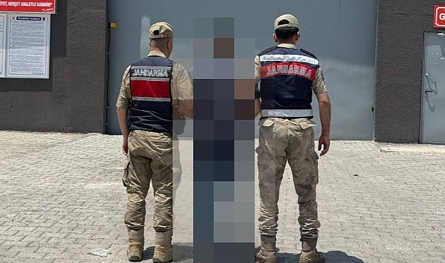 Ceylanpınar'da firari şahıs jandarmadan kaçamadı: 4 yıl hapis cezası bulunuyordu