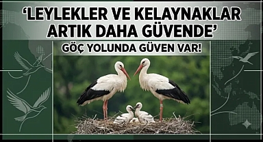 Doğal Yaşama Enerji Veren Proje: Göçmen Kuşlar Dicle Elektrik İle Güvende
