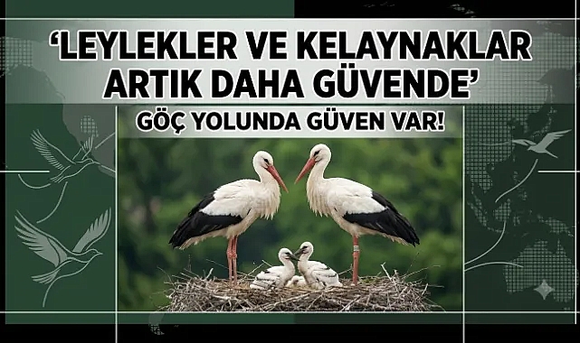 Doğal Yaşama Enerji Veren Proje: Göçmen Kuşlar Dicle Elektrik İle Güvende