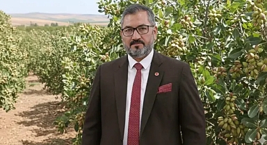 Faruk Akbaş'tan Fıstık İthalatına Tepki: Hasat Öncesi İthalat Yanlış Politika