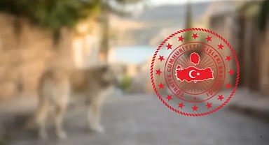 Halfeti'deki köpek saldırısıyla ilgili müfettiş görevlendirildi